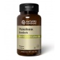  Nature's Sunshine Burdock 100 